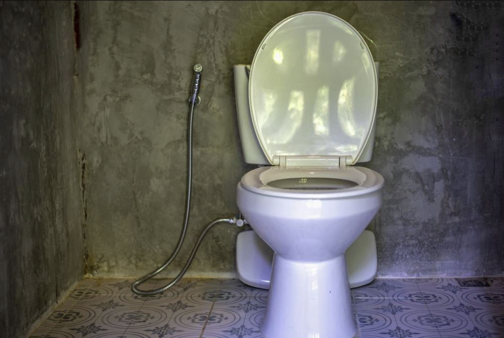 8 raisons courantes pour des toilettes bouchées - Wow Decor
